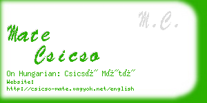 mate csicso business card